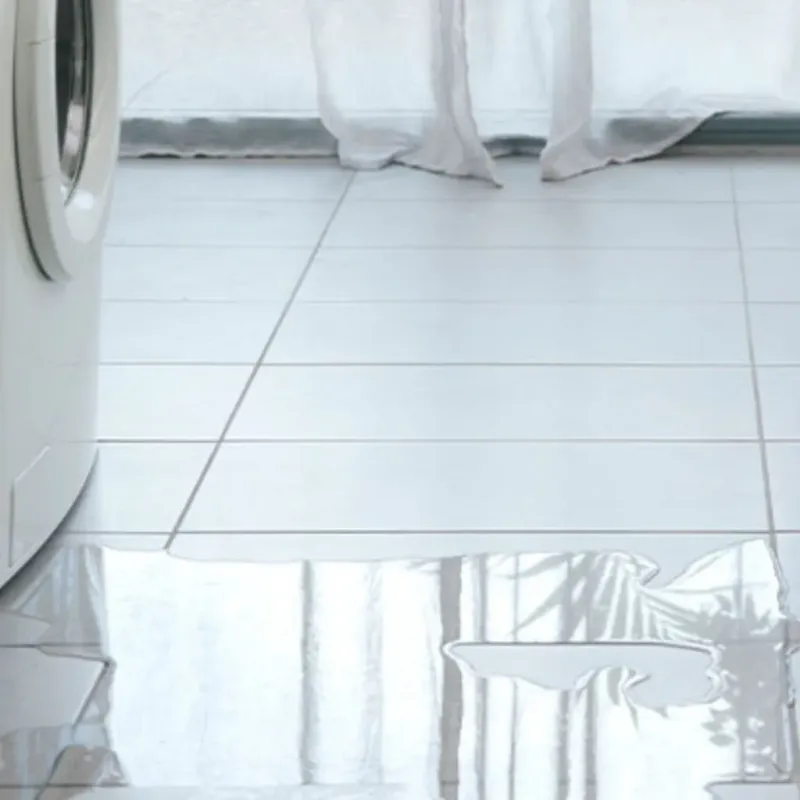Appliance Leak Cleanup in Cass County, IA