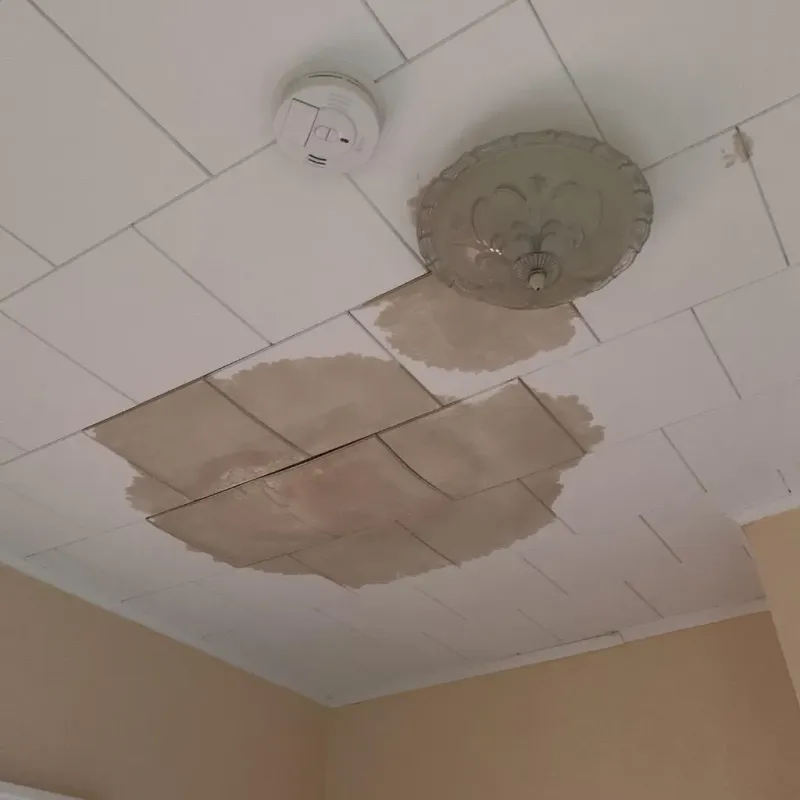 Ceiling Water Damage Repair in Cass County, IA