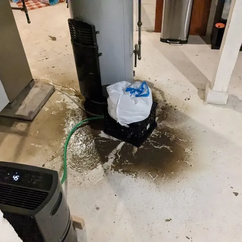 Sewage Backup Cleanup Service in Cass County, IA